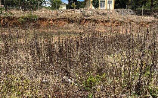 Ponto Comercial + Chácara